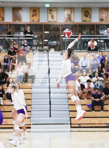 Thumbnail 2 in Salinas vs. Los Gatos (CIFCCS D1 Championship) photogallery.