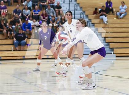Thumbnail 3 in Salinas vs. Los Gatos (CIFCCS D1 Championship) photogallery.