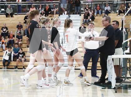 Thumbnail 3 in Salinas vs. Los Gatos (CIFCCS D1 Championship) photogallery.