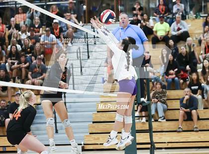 Thumbnail 3 in Salinas vs. Los Gatos (CIFCCS D1 Championship) photogallery.