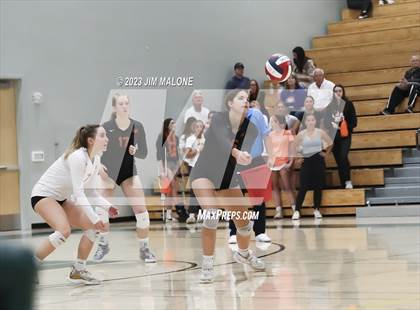 Thumbnail 3 in Salinas vs. Los Gatos (CIFCCS D1 Championship) photogallery.