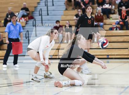 Thumbnail 2 in Salinas vs. Los Gatos (CIFCCS D1 Championship) photogallery.