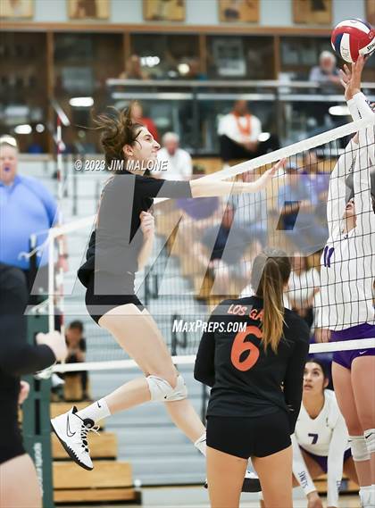 Thumbnail 1 in Salinas vs. Los Gatos (CIFCCS D1 Championship) photogallery.