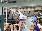 Photo from the gallery "Salinas vs. Los Gatos (CIFCCS D1 Championship)"