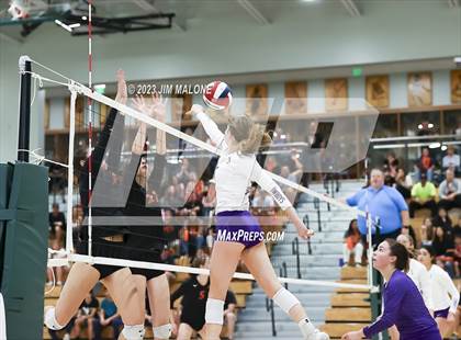 Thumbnail 1 in Salinas vs. Los Gatos (CIFCCS D1 Championship) photogallery.