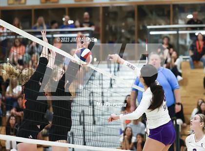 Thumbnail 1 in Salinas vs. Los Gatos (CIFCCS D1 Championship) photogallery.