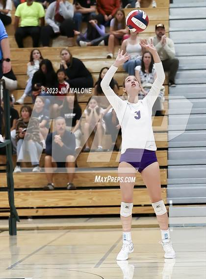 Thumbnail 3 in Salinas vs. Los Gatos (CIFCCS D1 Championship) photogallery.
