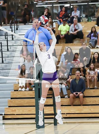 Thumbnail 1 in Salinas vs. Los Gatos (CIFCCS D1 Championship) photogallery.