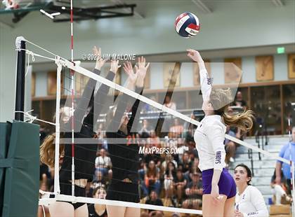 Thumbnail 3 in Salinas vs. Los Gatos (CIFCCS D1 Championship) photogallery.