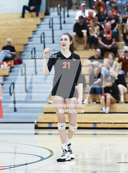 Thumbnail 1 in Salinas vs. Los Gatos (CIFCCS D1 Championship) photogallery.