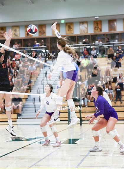 Thumbnail 2 in Salinas vs. Los Gatos (CIFCCS D1 Championship) photogallery.