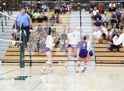Thumbnail 3 in Salinas vs. Los Gatos (CIFCCS D1 Championship) photogallery.