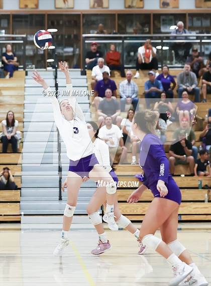 Thumbnail 2 in Salinas vs. Los Gatos (CIFCCS D1 Championship) photogallery.