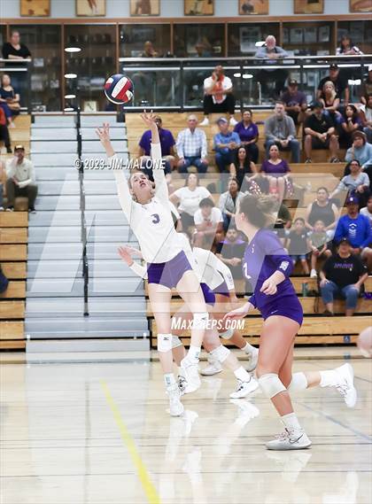 Thumbnail 2 in Salinas vs. Los Gatos (CIFCCS D1 Championship) photogallery.