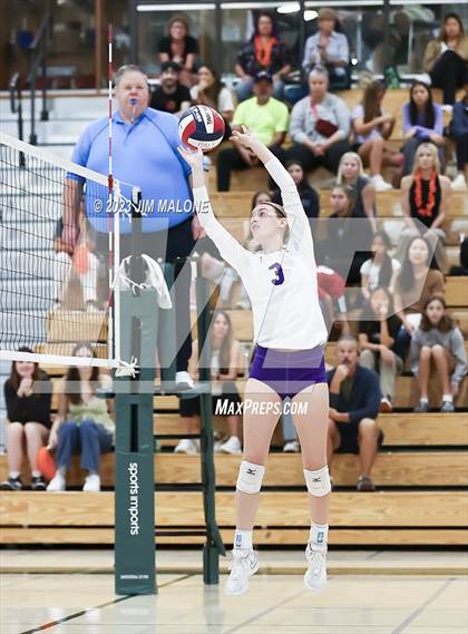 Thumbnail 1 in Salinas vs. Los Gatos (CIFCCS D1 Championship) photogallery.