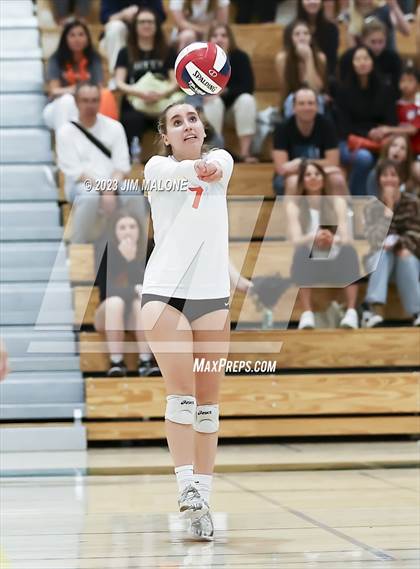 Thumbnail 1 in Salinas vs. Los Gatos (CIFCCS D1 Championship) photogallery.