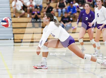 Thumbnail 3 in Salinas vs. Los Gatos (CIFCCS D1 Championship) photogallery.