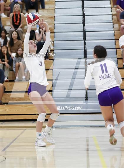 Thumbnail 2 in Salinas vs. Los Gatos (CIFCCS D1 Championship) photogallery.