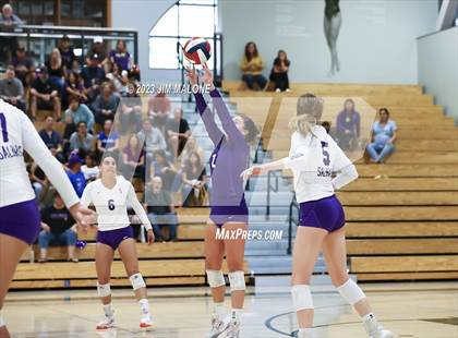 Thumbnail 1 in Salinas vs. Los Gatos (CIFCCS D1 Championship) photogallery.