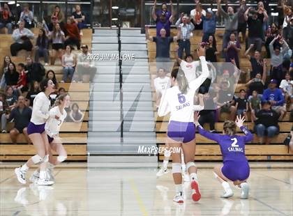 Thumbnail 3 in Salinas vs. Los Gatos (CIFCCS D1 Championship) photogallery.