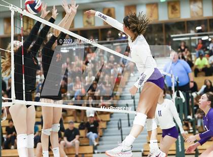 Thumbnail 3 in Salinas vs. Los Gatos (CIFCCS D1 Championship) photogallery.