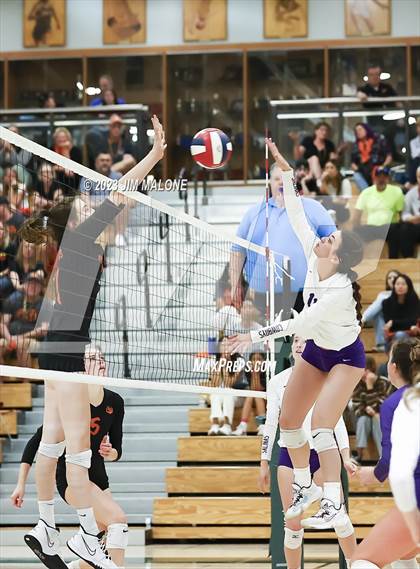 Thumbnail 1 in Salinas vs. Los Gatos (CIFCCS D1 Championship) photogallery.