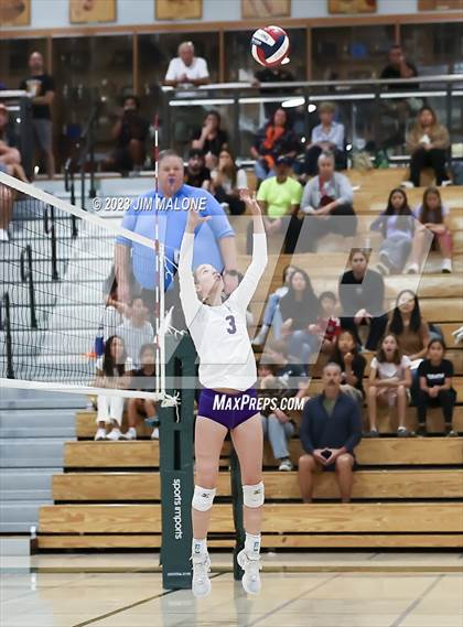 Thumbnail 3 in Salinas vs. Los Gatos (CIFCCS D1 Championship) photogallery.