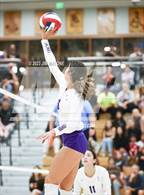 Photo from the gallery "Salinas vs. Los Gatos (CIFCCS D1 Championship)"
