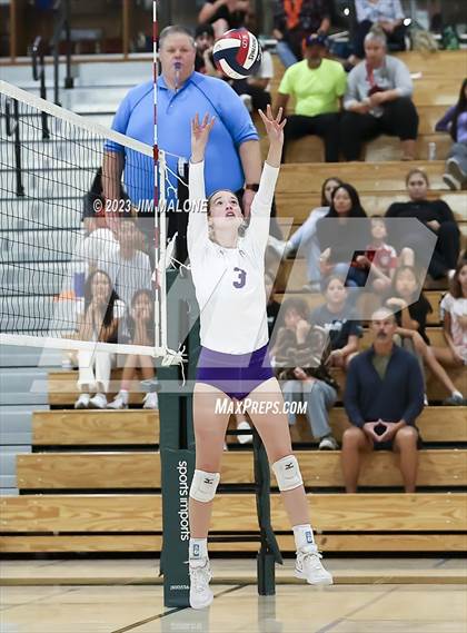 Thumbnail 3 in Salinas vs. Los Gatos (CIFCCS D1 Championship) photogallery.