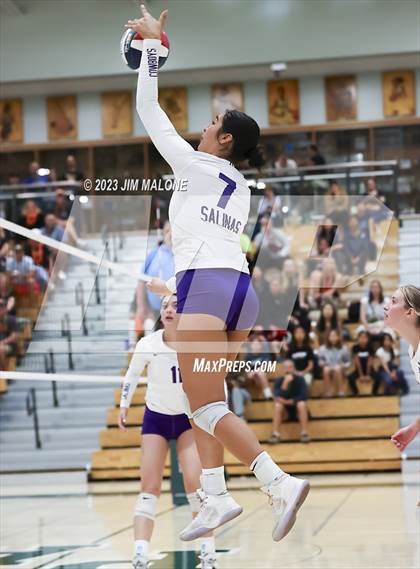 Thumbnail 2 in Salinas vs. Los Gatos (CIFCCS D1 Championship) photogallery.