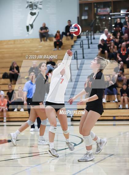Thumbnail 2 in Salinas vs. Los Gatos (CIFCCS D1 Championship) photogallery.