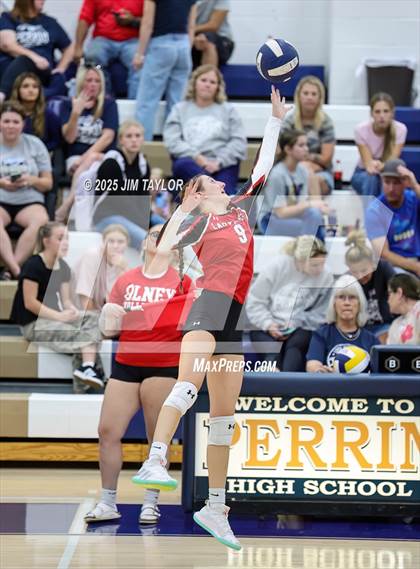 Thumbnail 3 in Olney @ Perrin-Whitt photogallery.