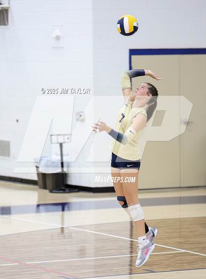 Thumbnail 1 in Olney @ Perrin-Whitt photogallery.