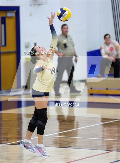 Thumbnail 3 in Olney @ Perrin-Whitt photogallery.