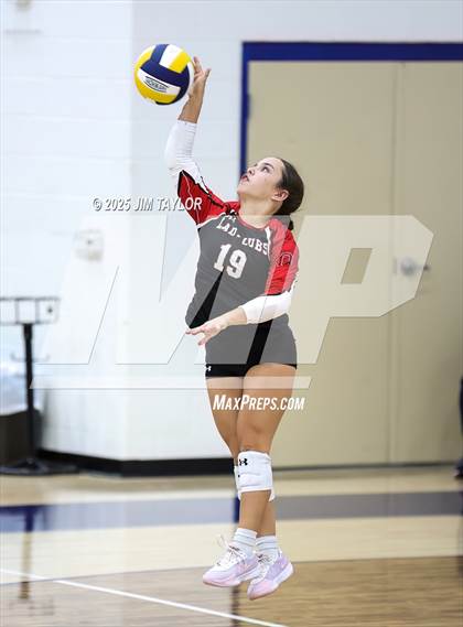 Thumbnail 2 in Olney @ Perrin-Whitt photogallery.