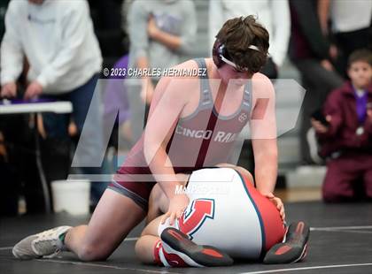 Thumbnail 1 in Cougar Classic photogallery.