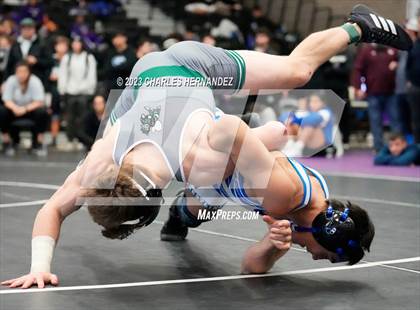 Thumbnail 3 in Cougar Classic photogallery.