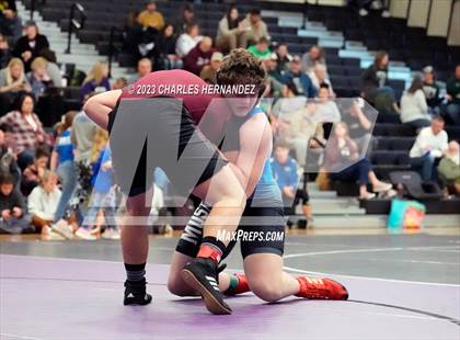 Thumbnail 3 in Cougar Classic photogallery.