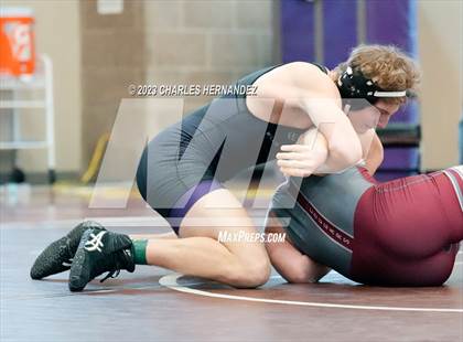 Thumbnail 3 in Cougar Classic photogallery.