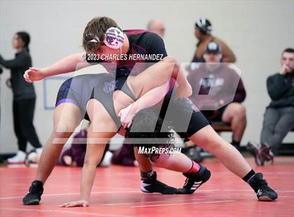 Thumbnail 1 in Cougar Classic photogallery.
