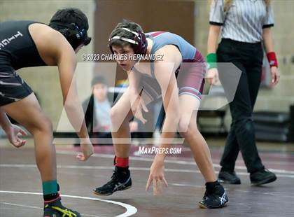 Thumbnail 2 in Cougar Classic photogallery.