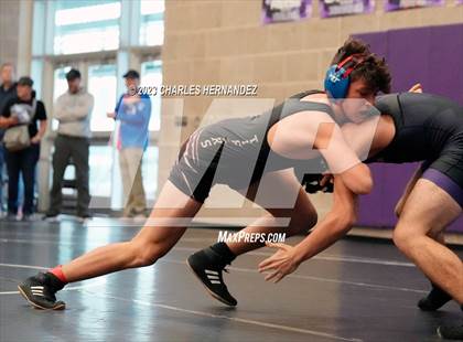 Thumbnail 3 in Cougar Classic photogallery.