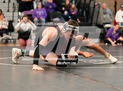 Thumbnail 1 in Cougar Classic photogallery.