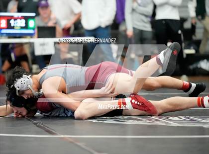 Thumbnail 2 in Cougar Classic photogallery.