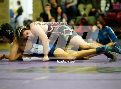 Thumbnail 3 in Cougar Classic photogallery.