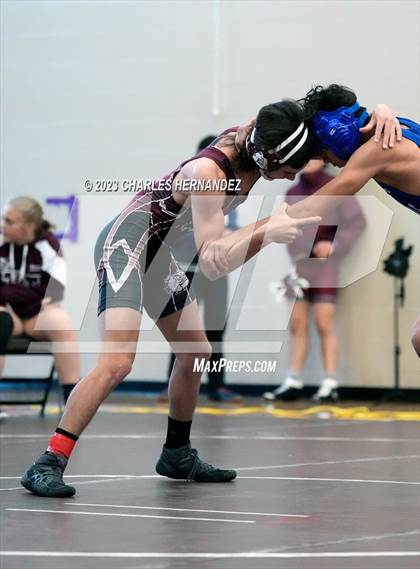 Thumbnail 1 in Cougar Classic photogallery.