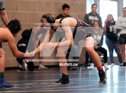 Thumbnail 3 in Cougar Classic photogallery.