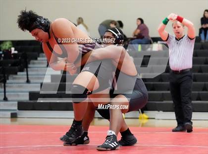 Thumbnail 2 in Cougar Classic photogallery.
