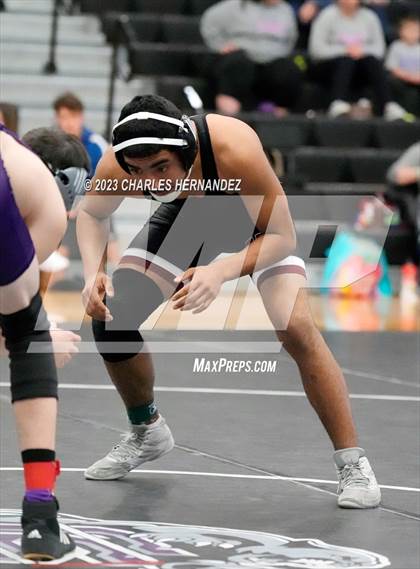 Thumbnail 2 in Cougar Classic photogallery.