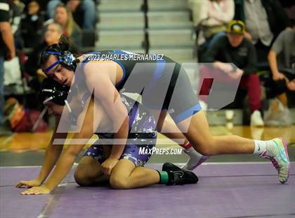 Thumbnail 3 in Cougar Classic photogallery.